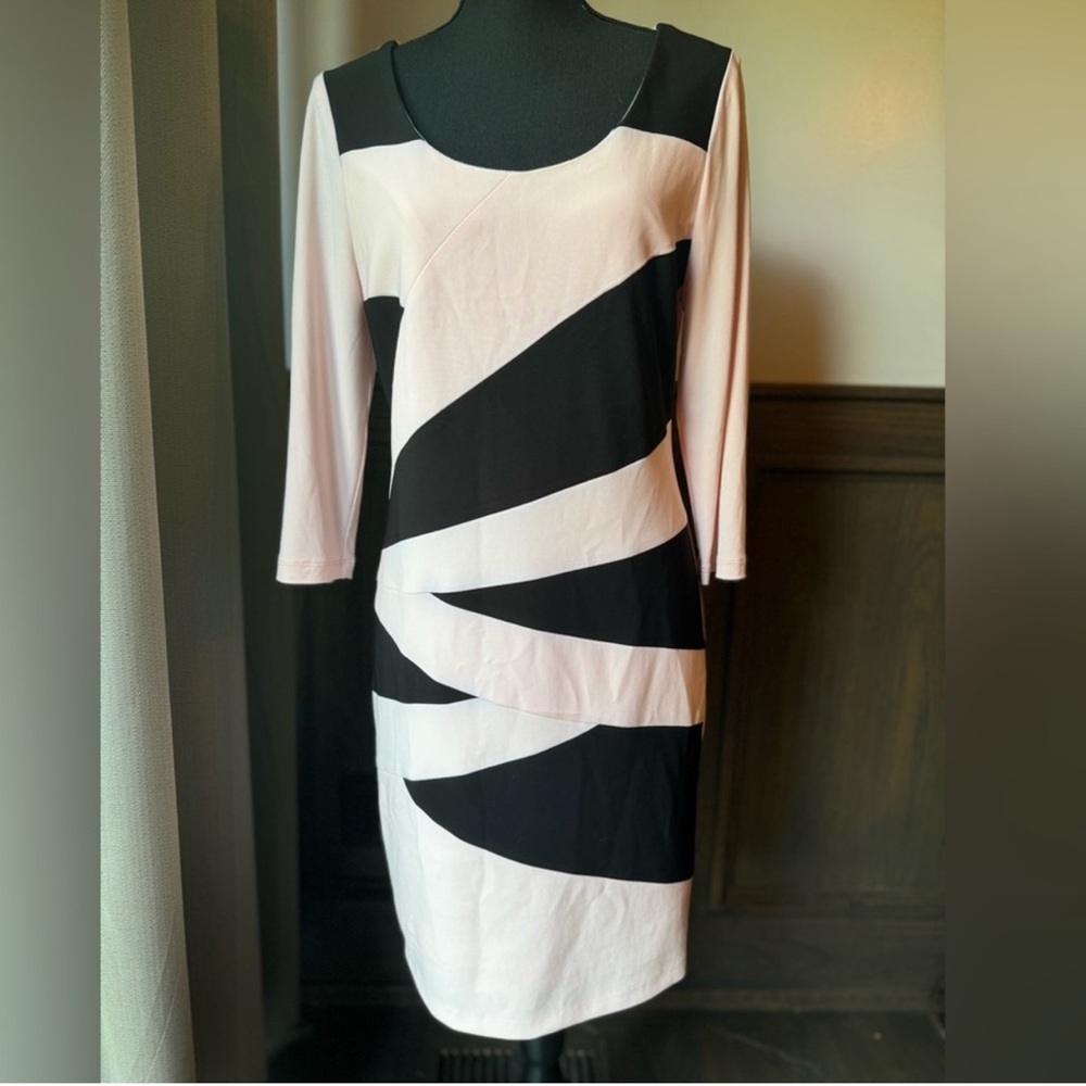 Frank Lyman Elegant Black and Pink Women's Dress, Size 12